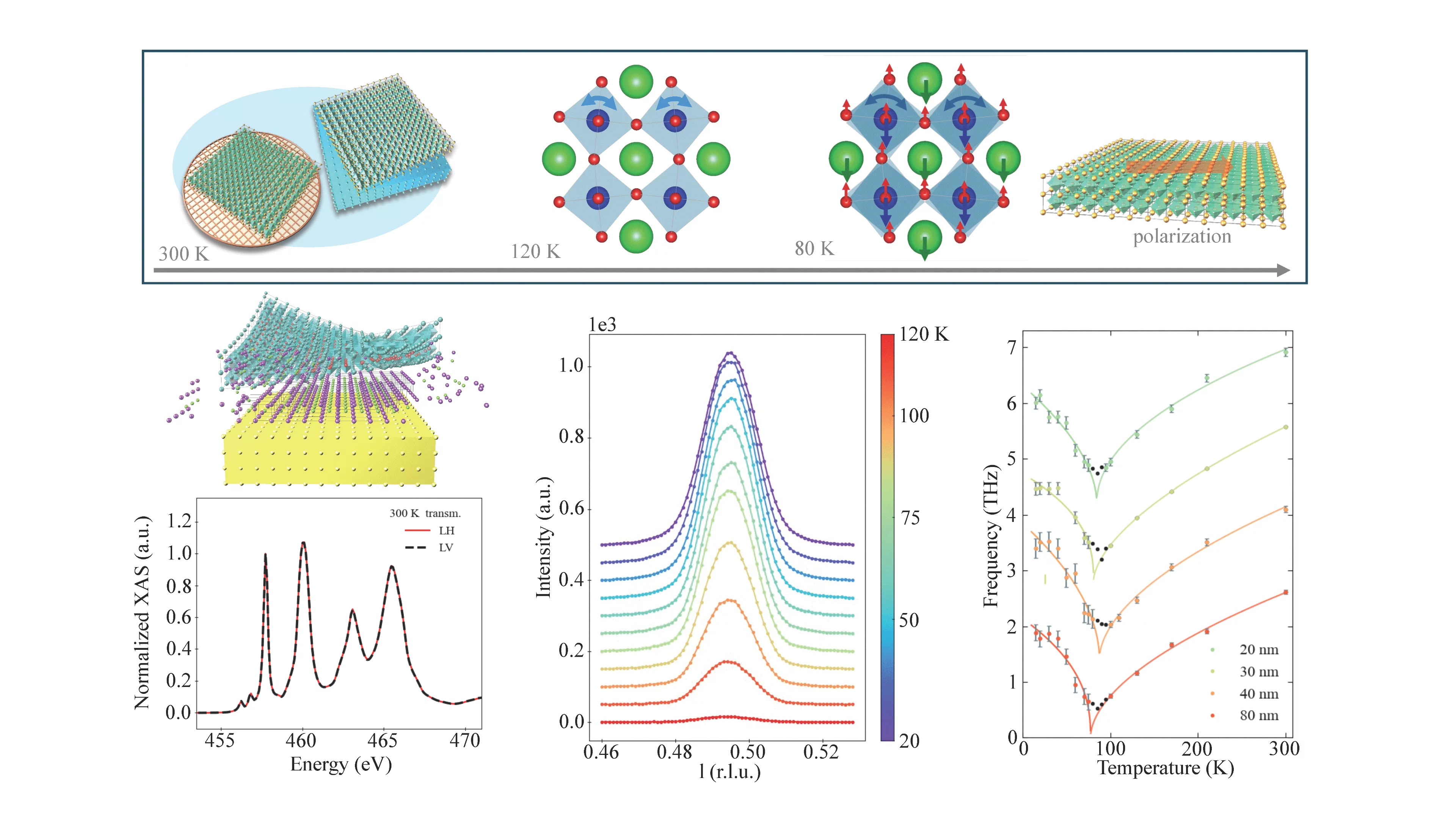 toc nanoletter