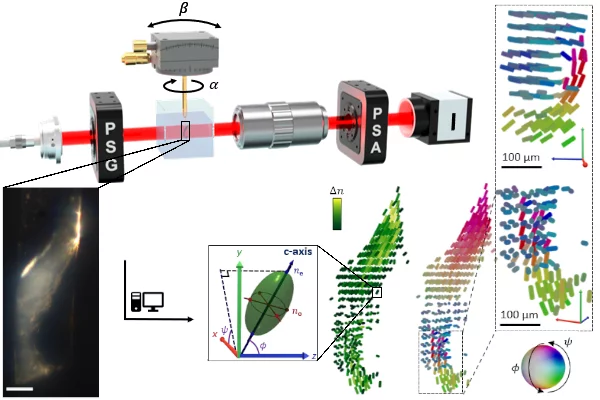 Schematic drawing of the Müller-polarimetric miscroscope