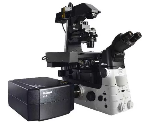 Microscope
