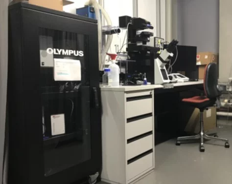 Microscope