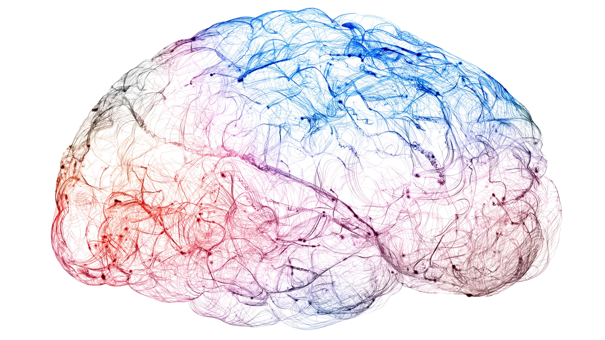 Ein Kubikmillimeter Gehirngewebe enthält rund 100 000 Neuronen, die durch etwa 700 Millionen Synapsen und 4 Kilometer «Verkabelung» miteinander verbunden sind. Diese komplexe dreidimensionale Verdrahtung ist für die Funktionsweise des Gehirns verantwortlich – lässt sich jedoch ausserordentlich schwer untersuchen. 
