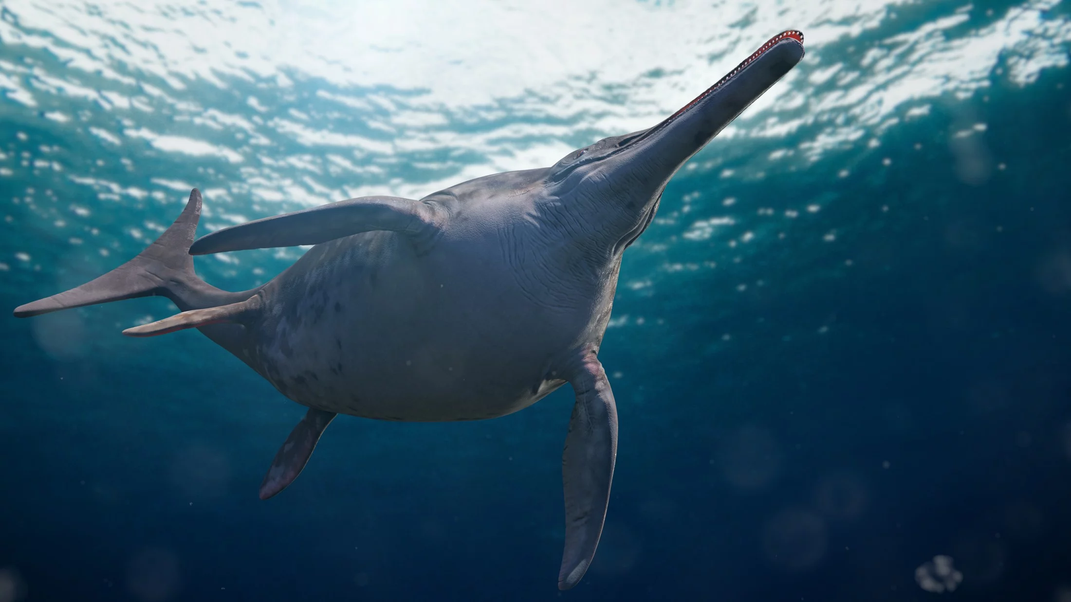 So könnte der lautlose Jäger aus der Jurazeit ausgesehen haben: Temnodontosaurus im Einsatz. © Adobe Stock