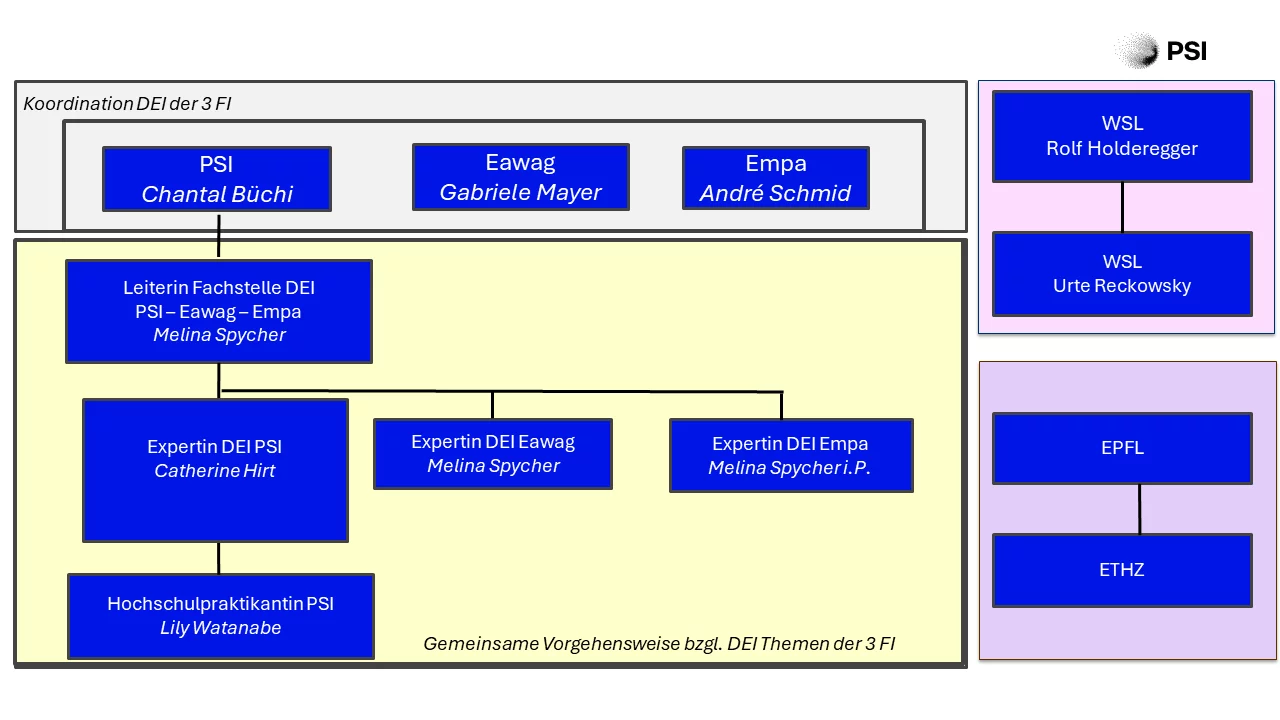 Fachstelle August 2025 DE