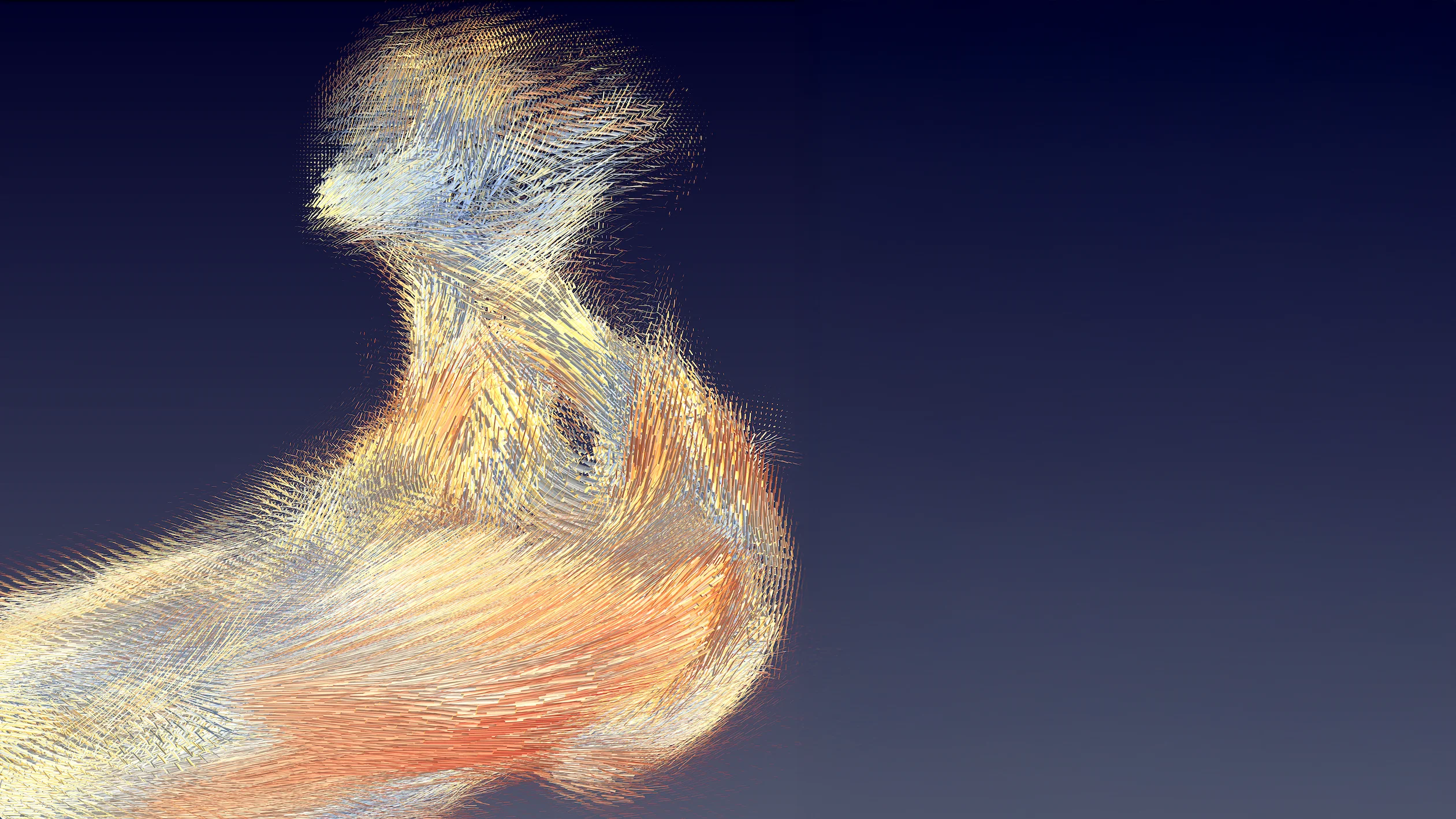 Durch Abtasten mit einem Röntgenstrahl konnten Forschende am PSI die lokalen Kollagenstrukturen in einem Gehörknöchelchen sichtbar machen. Die verschiedenfarbigen Zylinder zeigen, wie stark die Kollagenbündel in einem 20 mal 20 mal 20 Mikrometer grossen Abschnitt räumlich ausgerichtet sind.