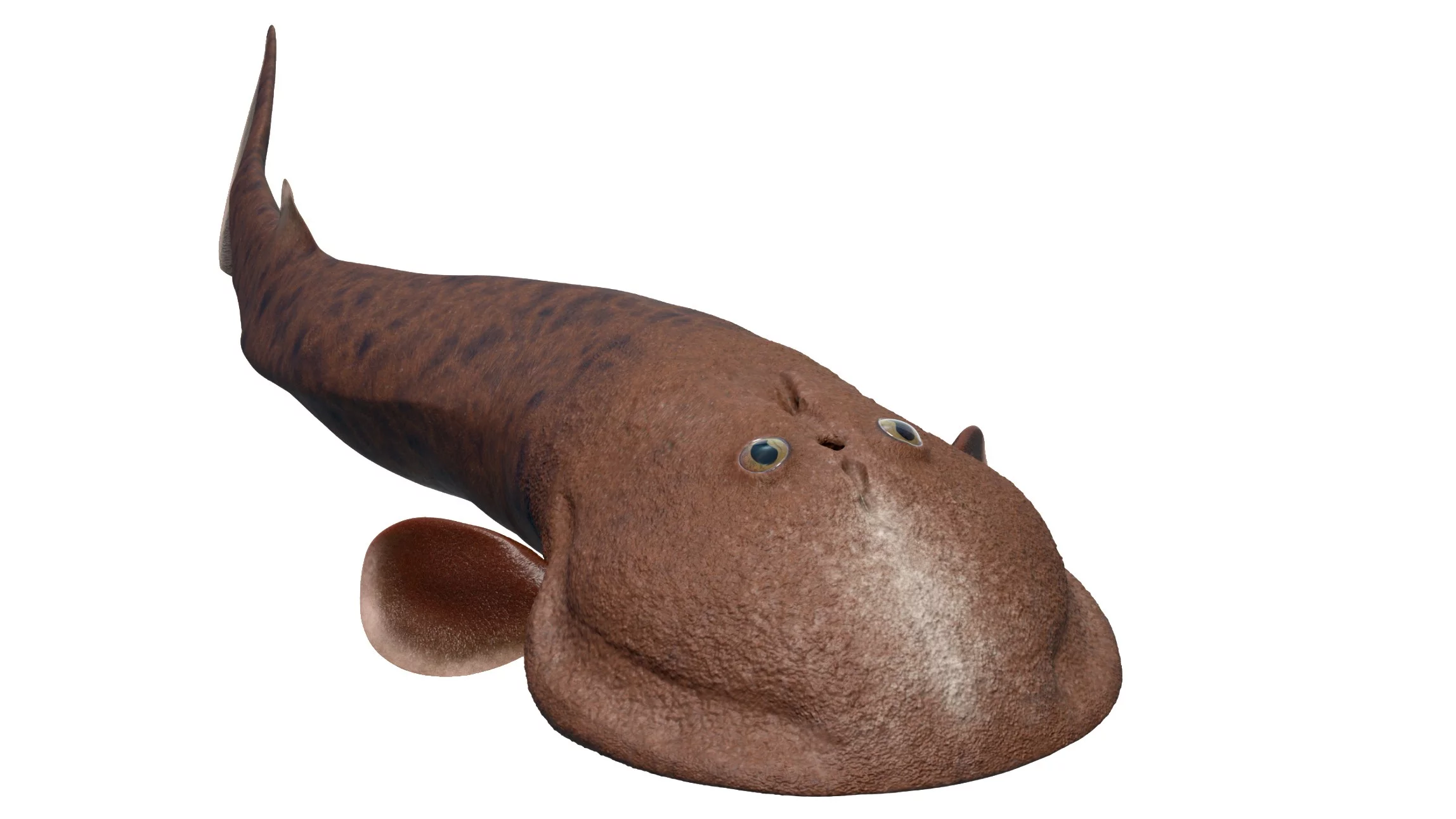 Ricostruzione artistica del pesce senza mascelle Norselas p is glacialis.