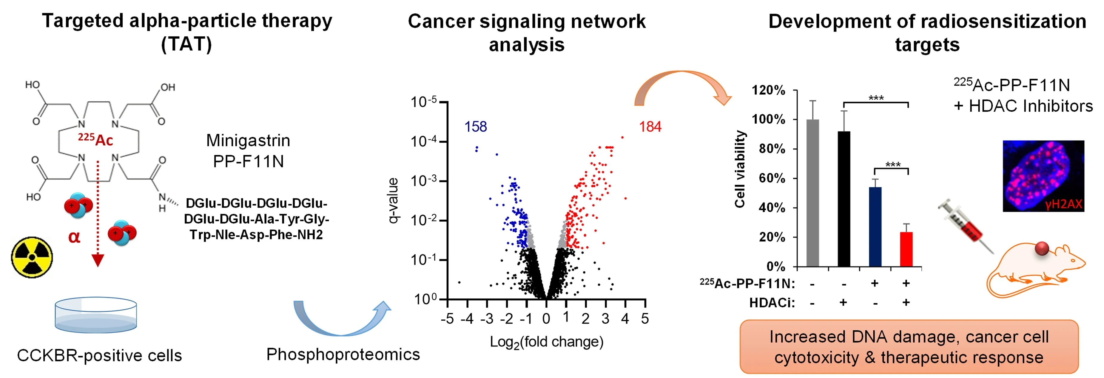 Phosphoproteomics