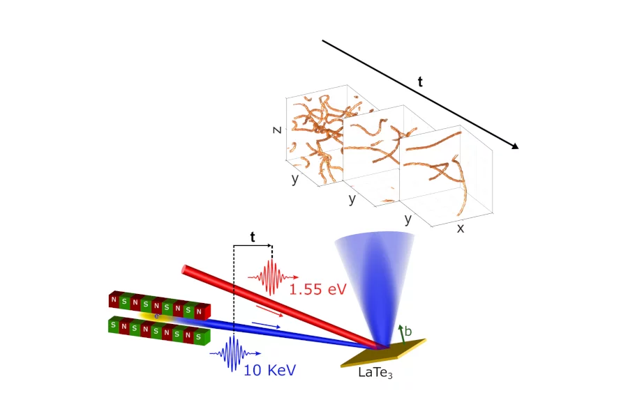 Topological defects pump probe schematics