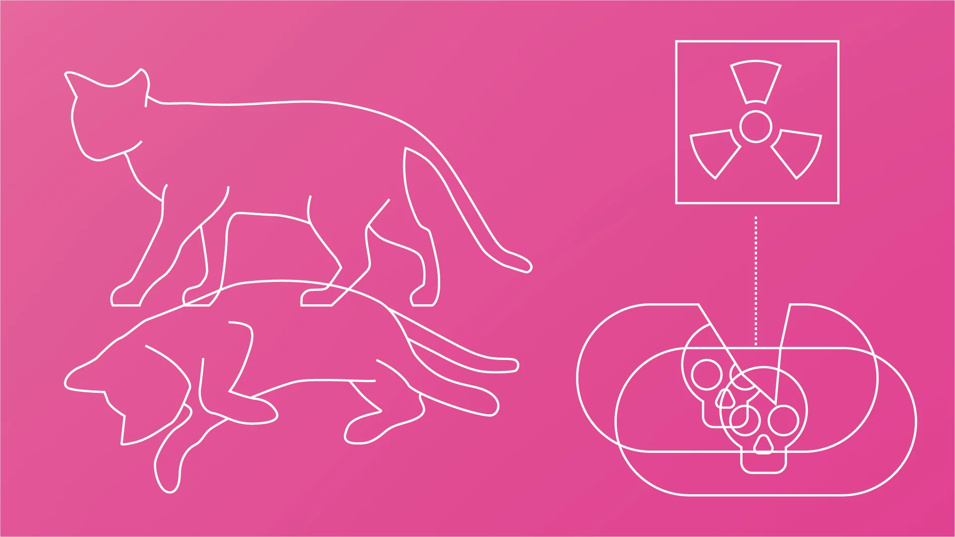 Schrödinger’s cat