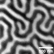 Magnetic Image acquired at PolLux 2.0