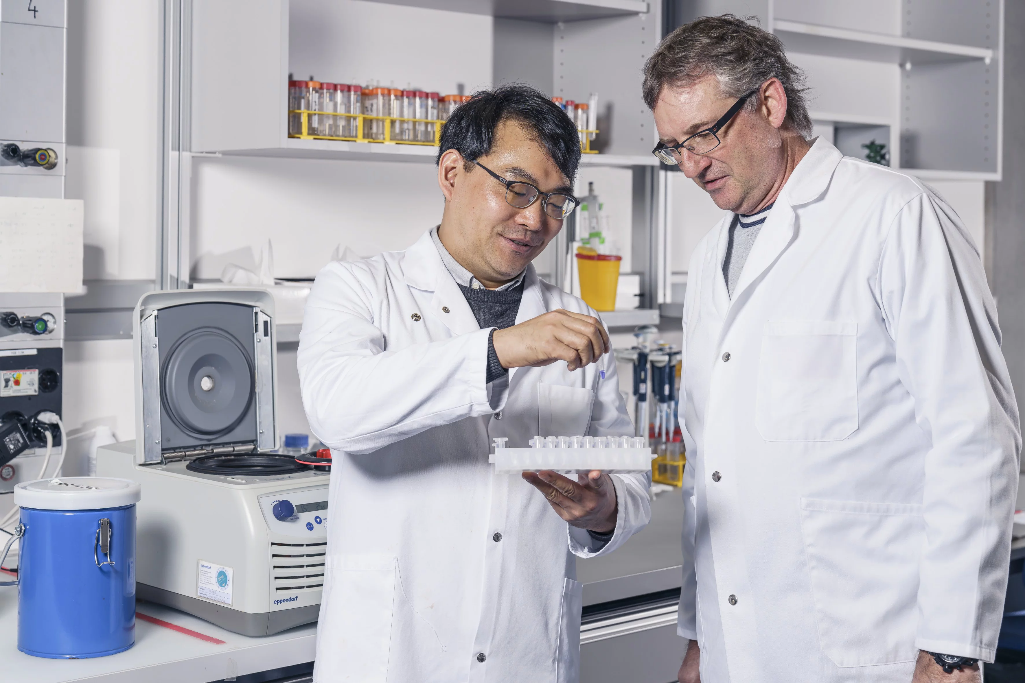 Sung Choi, premier auteur de l’étude, et Michel Steinmetz, chef de projet, dans leur laboratoire. Grâce à la cryo-microscopie électronique, ils ont élucidé au niveau moléculaire la manière dont les microtubules participent à la transmission du signal à l’intérieur de la cellule.