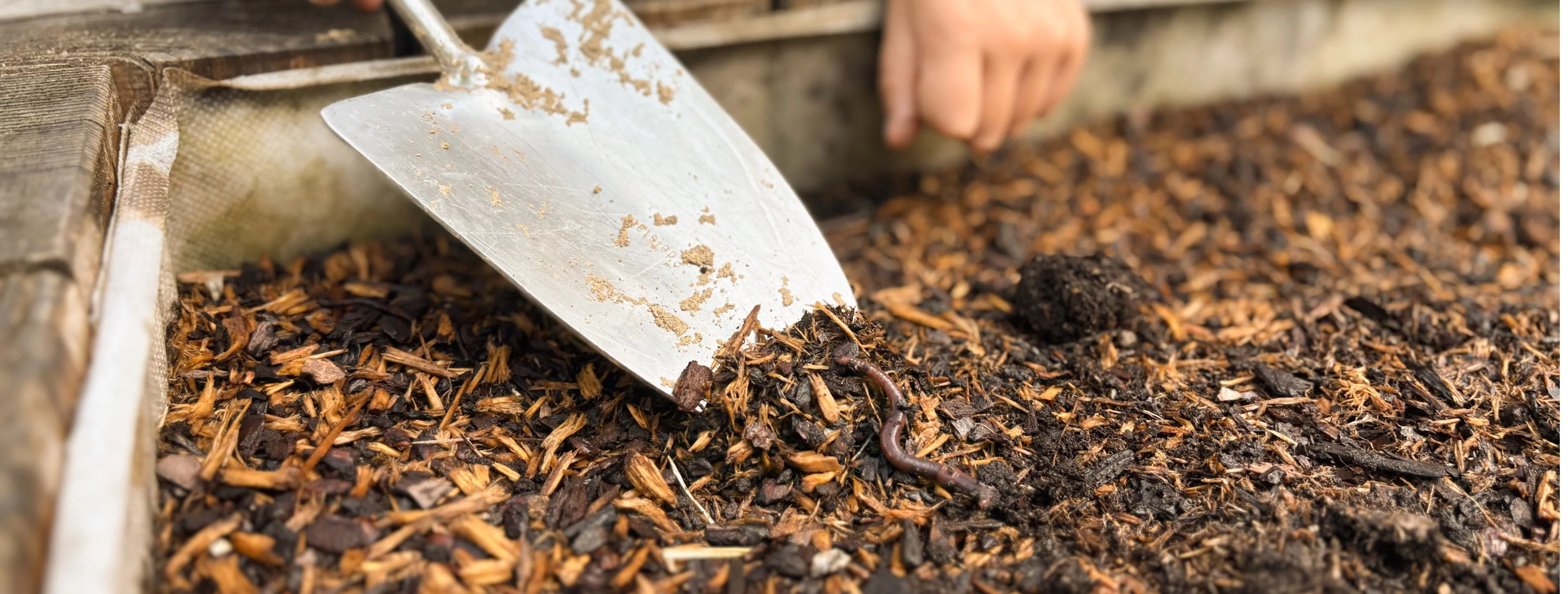 © Paul Scherrer Institut PSI/Elina Tovagliaro