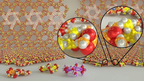 Kagome network from a single molecular building block