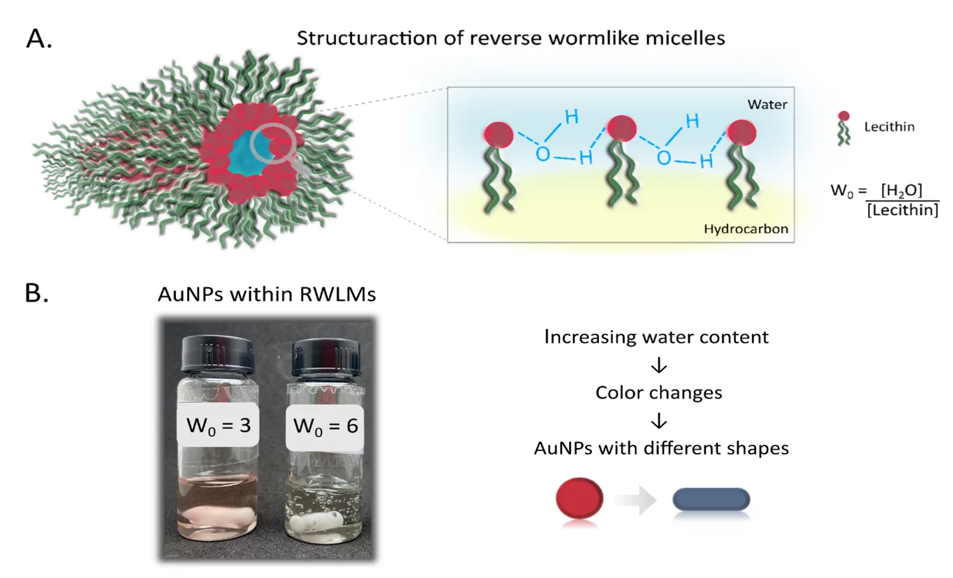 Reverse wormlike micelles