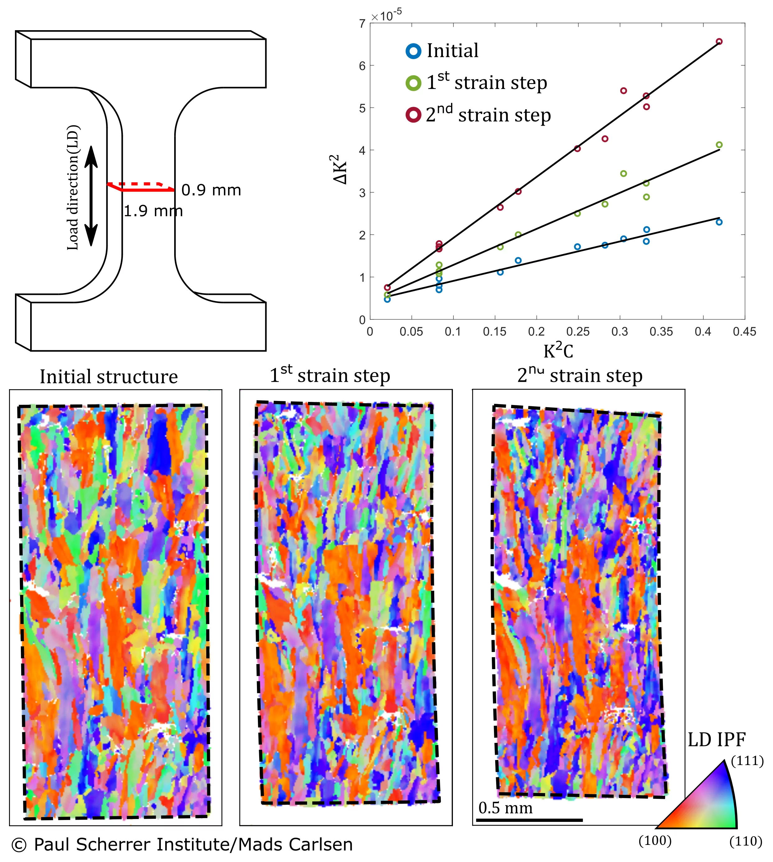 Evolution of the bulk microstructure of a 3D printed TWIP steel sample under tensile deformation.