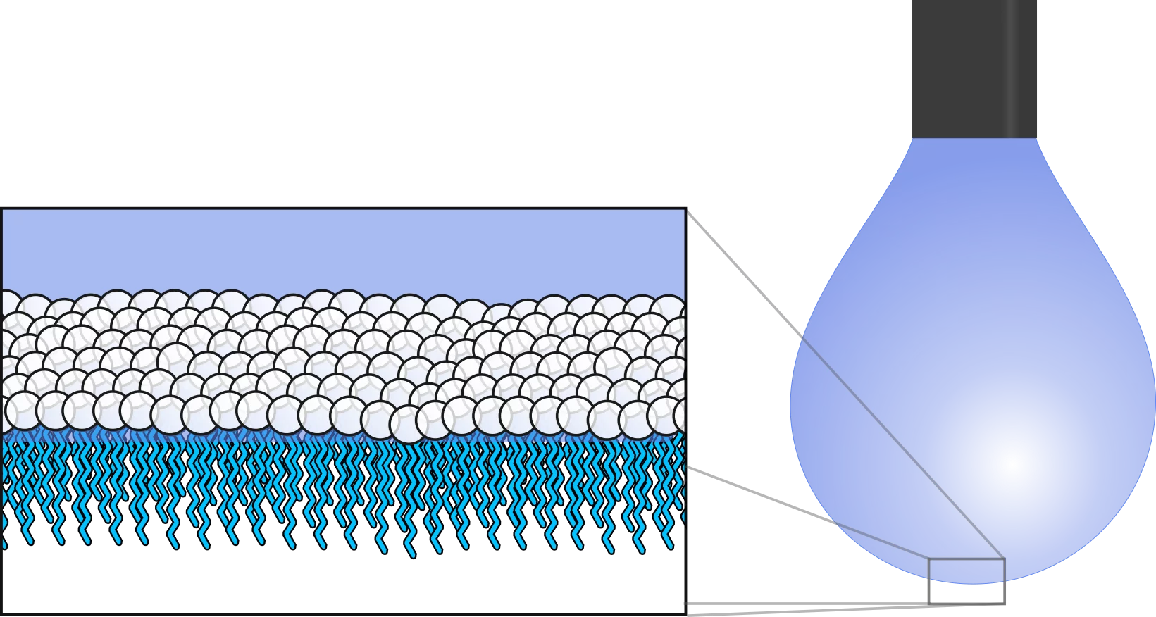 Hydrogen-bonding at an interface