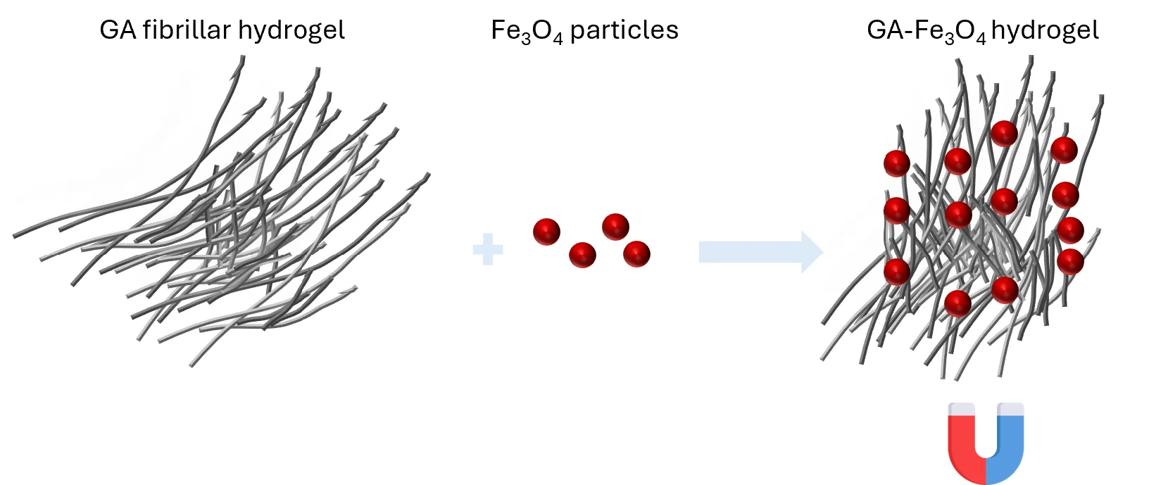 Stimuli-responsive nanofribillar hydrogels