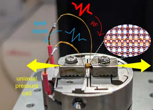 Probing Uniaxially-Pressurized Superconductors with NMR