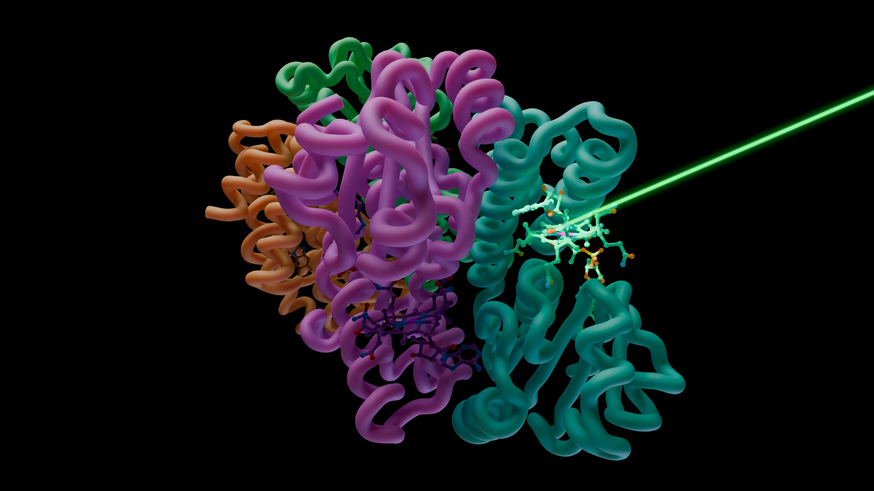 A vitamin B12 chromophore within the bacterial photoreceptor CarH is activated by an intense pulse of visible laser light and following structural changes visualized in real time by serial femtosecond crystallography at the SwissFEL Cristallina endstation. 