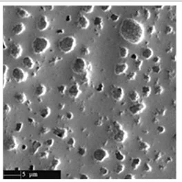 Pelletperipherie / Hochabbrandstruktur mit Kornunterteilung