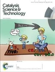 CoverIssueCST2014.jpg