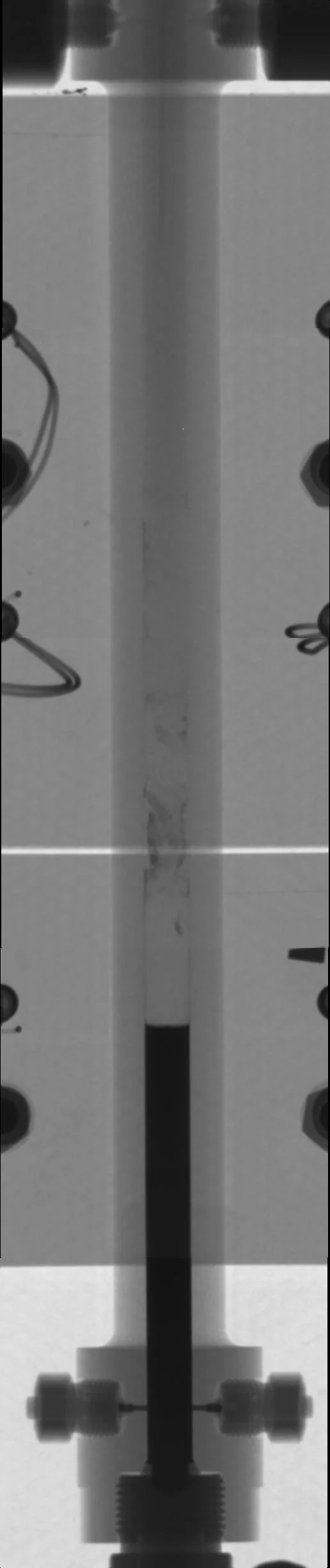 Neutron image of the vessel. The salts on the botton are shown dark.