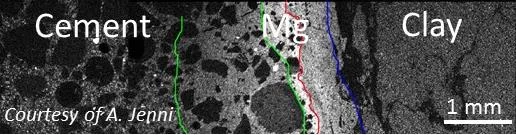 The interface between cementitious material and Opalinus Clay.