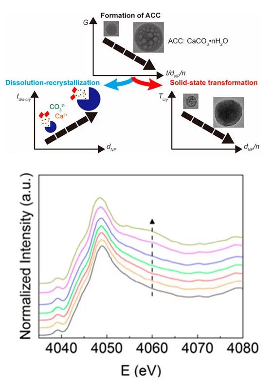 Top: schematic illustration of the growth of ACC particles and their transformation into crystals. Bottom: the Ca K-edge XANES spectra of ACC particles at different temperatures. ACS AuthorChoice publication