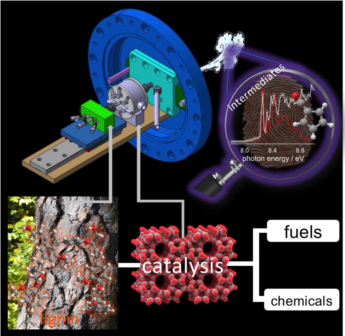 Highly reactive fulvenone (magnifying glass) was found to be the missing reactive intermediate to elucidate the reaction mechanisms in the catalytic fast pyrolysis of the lignin model compound guaiacol.