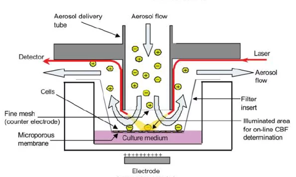 Sketch of the cell deposition chamber.