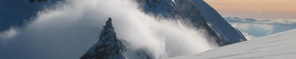 APG header.jpg