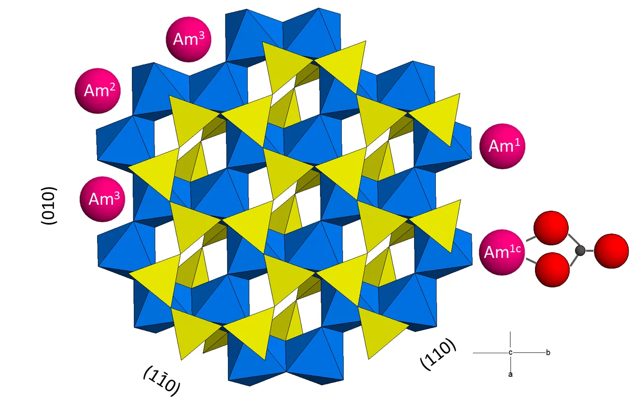 Figure 1: Schematic sketch of possible Am binding sites on montmorillonite, with Am inner-sphere complexes involving one (Am1), two (Am2) and three (Am3) aluminum neighbours. Am1c is a type-A ternary carbonato complex. Al(O,OH)6 octahedra are shown in blue, SiO4 tetrahedra in yellow.