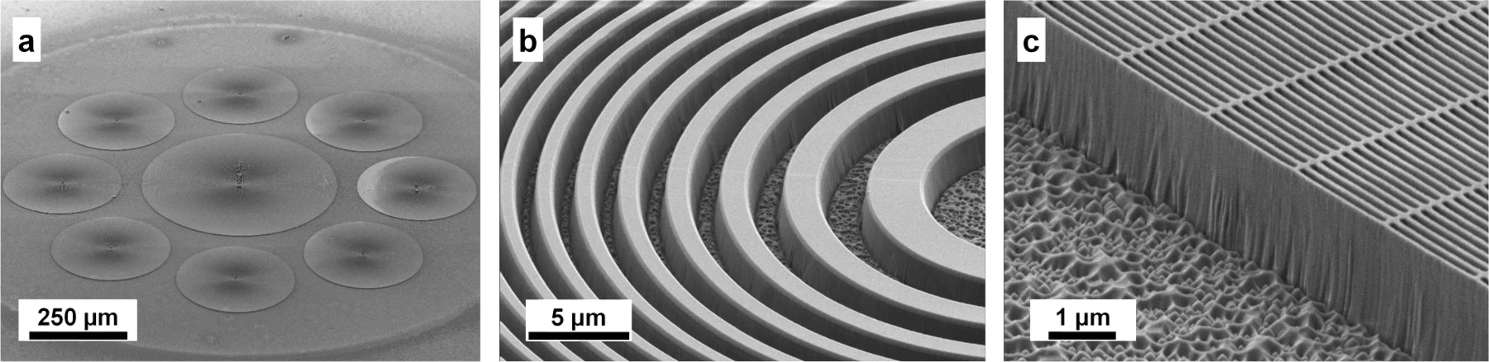 Scanning electron microscope images of Fresnel zone plates made out of diamond: a) overview, b) large inner zones and c) 100nm outern zones.