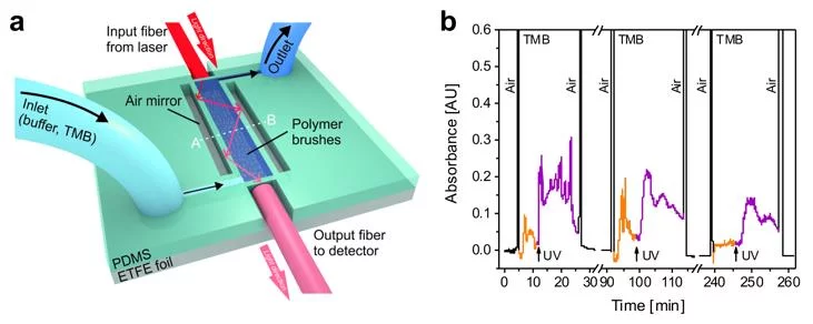 (a) Schematic illustration of the fabricated optofluidic device integrated with the modified ETFE substrate. (b) Measurement of the enzymatic activity before (orange) and after (purple) exposure to UV light: Three consecutive cycles were measured with 60 minutes relaxation intervals.