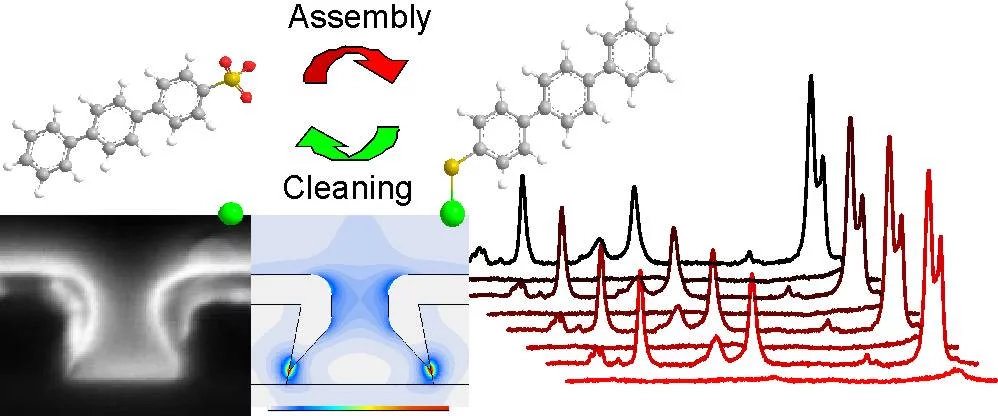 Figure 1: Plasmonic arrays for reusable SERS sensors