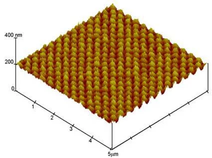 AFM image of poly(glycidyl methacrylate) nanostrucutures grafted on a fluoropolymer foil
