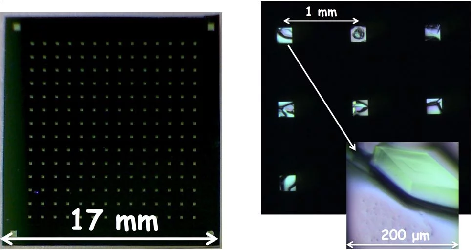 Lysozyme crystals grown in situ on silicon nitride window supports.