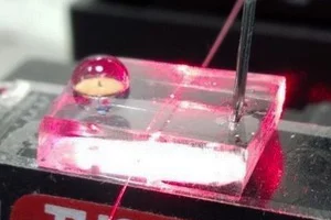 Functionalized microneedle integrated into an optofluidic sensor device