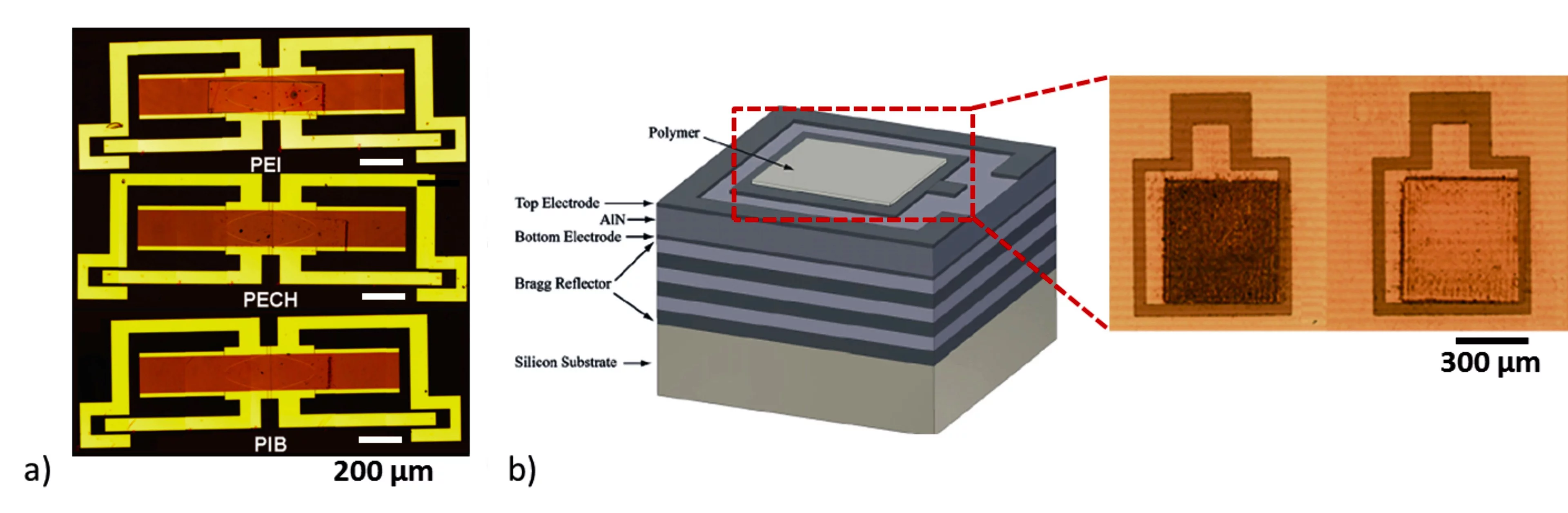 a) Optical microscopy images of a) PIB, b) PECH, and c) PEI polymers transferred by LIFT onto 2-port SAW devices. b) Schematic drawing of the SMR (left side) and optical microscopy images of SMR devices coated with PEI polymer deposited at 400 (left) and 300 (right) mJ/cm2 laser fluence.