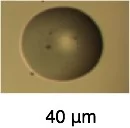 liquid dot.jpg