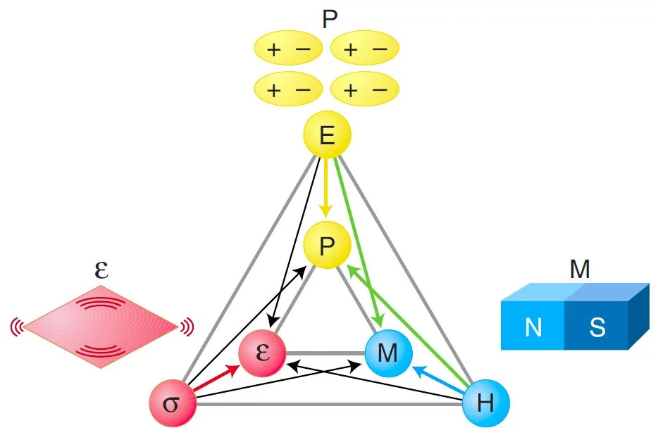 Phase control in ferroics and multiferroics. Figure has been adopted from Ref [1]