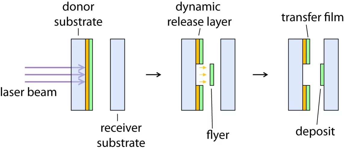 LIFT can be used to transfer sensitive materials with a UV laser, by applying a Dynamic Release Layer (DRL, see design of polymers and applications (polymers)), which absorbs the laser light at the irradiation wavelength and produces enough energy to accelerate the transfer material.
