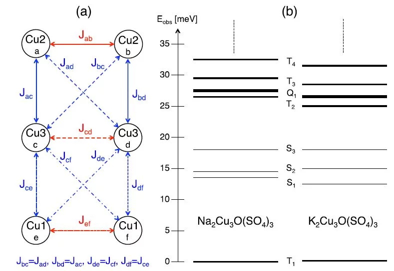 (a) Schematic picture of the Cu2+ hexamers in the compounds A2Cu3O(SO4)3 (A = Na, K). The parameters Jij denote the exchange coupling scheme adopted to describe the observed spin excitations. (b) Energies of the spin excitations observed for A2Cu3O(SO4)3 (A = Na, K) denoted by Si , Ti, and Qi for the singlet, triplet, and quintet states, respectively. from Fig. 1