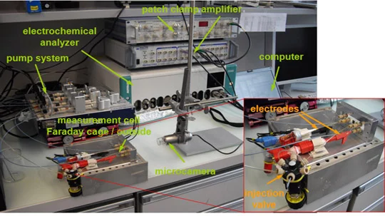 Instrumental setup for ion channel recording