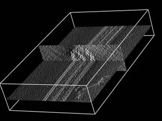 Fig.1 Cryo-electron tomogram of a flagellum from Chlamydomonas