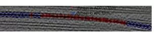 Fig.4 Cluster formation of two conformations in flagella in the presence of nucleotides