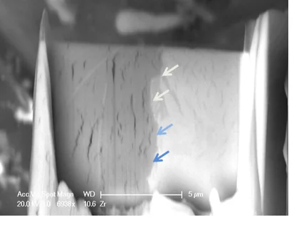 SEM micrograph of a TEM sample prepared by FIB from a cladding segment irradiated in the reactor for 7 cycles. The arrows indicate the interface of the metal and the oxidized layers. Cracks are observed in the oxide and hydrides are observed in the metal side of the interface.