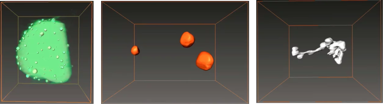 3D images (reconstructed from STEM dark field tilt series by Electron Tomography) of platinum particles deposited on oxide crystals.