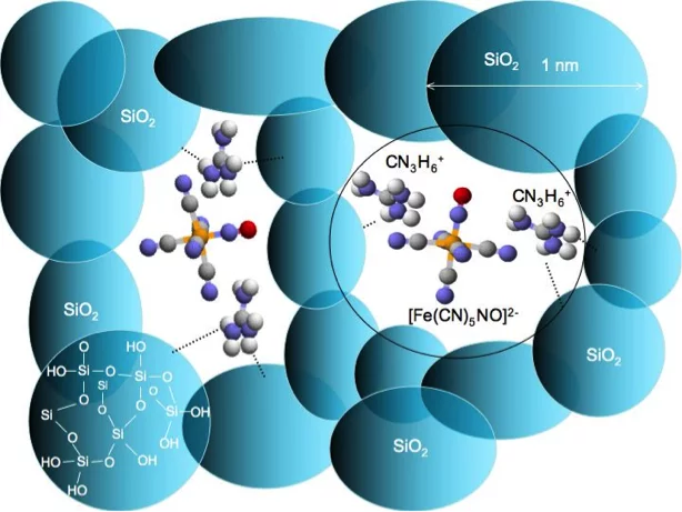 Fig. 3: Single photoswitchable molecules of (CN3H6)2[Fe(CN)5NO] (GuNP) embedded into nanopores of an SiO2 xerogel (blue).
