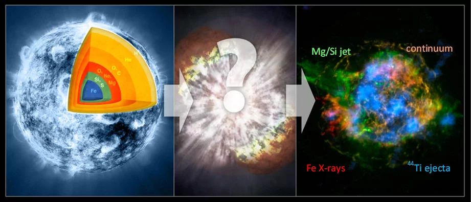 The progenitor of a supernova (left) – a massive star at least 12 times heavier as our Sun – produced, during several stages of its development, heavier elements up to iron. After exhausting its “thermonuclear fuel” it undergoes a tremendous explosion (middle) – called supernova – and expels its outer layers into the space. A reconstruction of the spatial distribution of the supernova remnants Cassiopeia A using the NuSTAR data (right) shows the 4 keV to 6 keV continuum emissions (brown), the distribution …