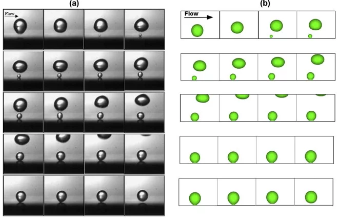 Convective boiling from a single nucleation site using micro-region model (Ref.).